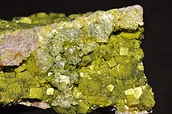 Hình minh họa câu hỏi